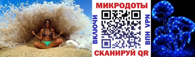 kraken   Чернушка  Галлюциногенные грибы Psilocybine cubensis 