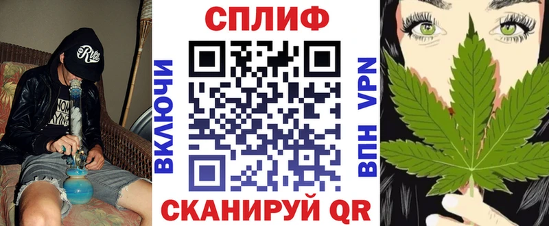 Канабис конопля Чернушка